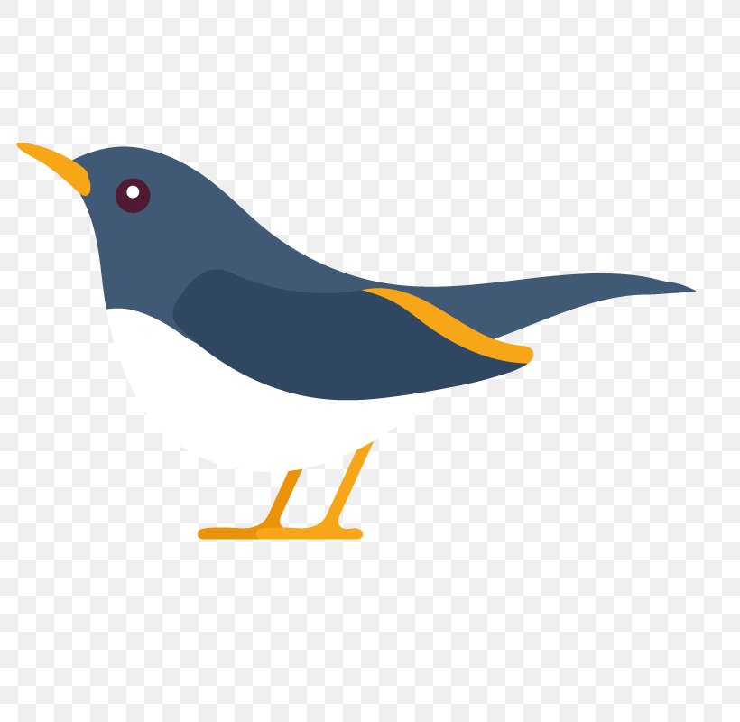 Beak Clip Art, PNG, 800x800px, Beak, Bird, Organism, Wing Download Free