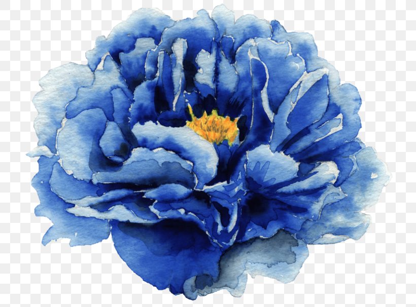 Blue Flower Petal Plant Flowering Plant, PNG, 800x606px, Blue, Cut Flowers, Flower, Flowering Plant, Peony Download Free