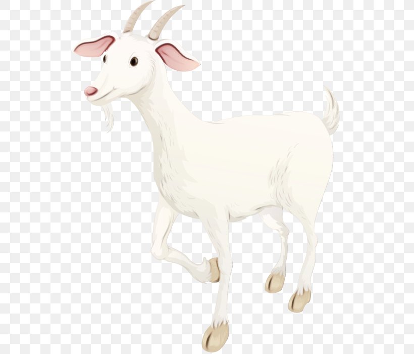 Goat Sheep Cattle, PNG, 567x700px, Goat, Animal Figure, Art, Cattle, Cowgoat Family Download Free
