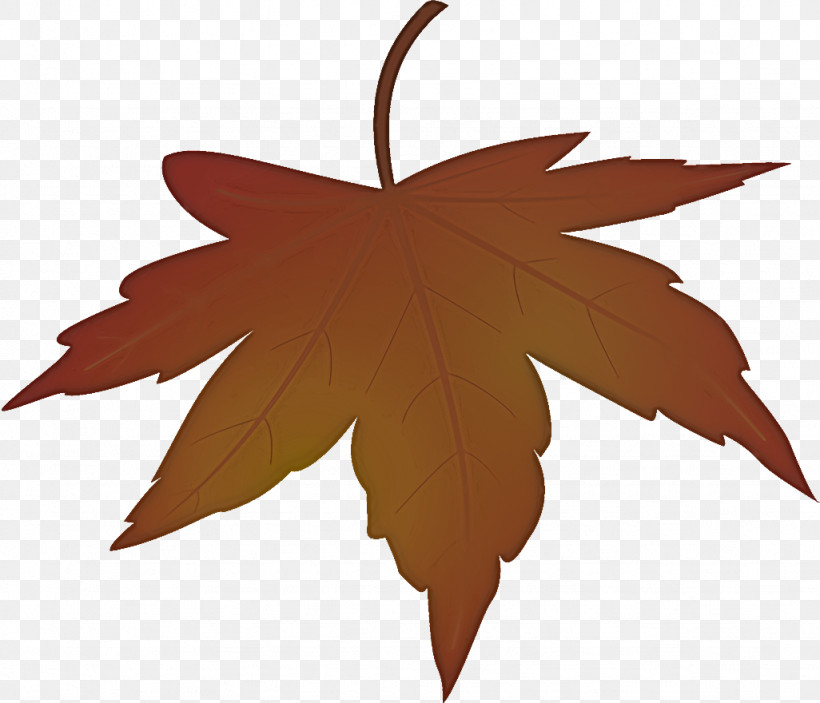Maple Leaf Autumn Leaf Yellow Leaf, PNG, 1026x880px, Maple Leaf, Autumn Leaf, Black Maple, Leaf, Plane Download Free
