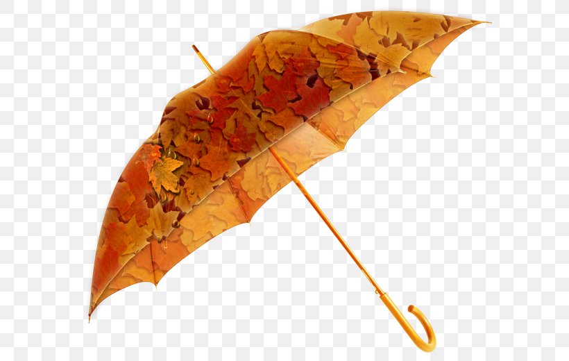 Umbrella Amazon.com Rain 雨具 Waterproofing, PNG, 600x520px, Umbrella, Amazoncom, Clothing Accessories, Fashion, Fashion Accessory Download Free