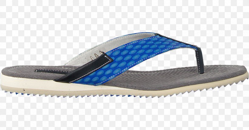 Flip-flops Shoe Floris Van Bommel ® Reef Sandal, PNG, 1200x630px, Flipflops, Beach, Blue, Cross Training Shoe, Electric Blue Download Free