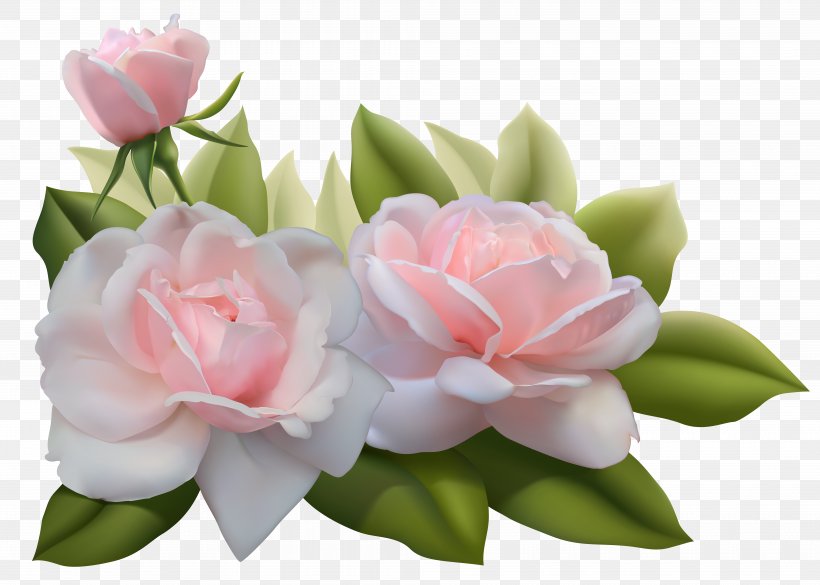Rose Pink Clip Art, PNG, 7905x5647px, Rose, Art, Artificial Flower, Blue Rose, Cut Flowers Download Free