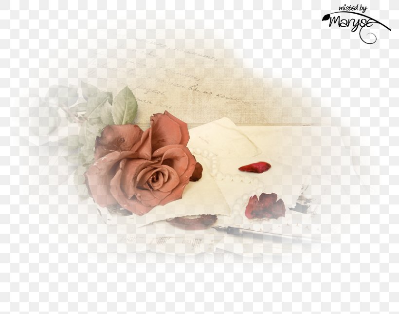 Love Letter Feeling Romance, PNG, 800x645px, Love Letter, Bisexuality, Emotion, Feeling, Flower Download Free