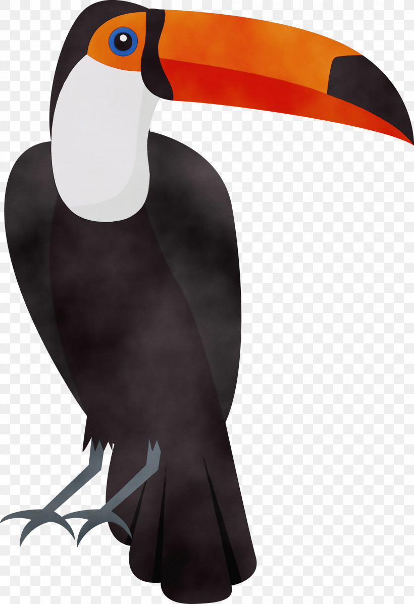 Toucans Beak, PNG, 2056x3000px, Cartoon Bird, Beak, Cute Bird, Paint, Toucans Download Free