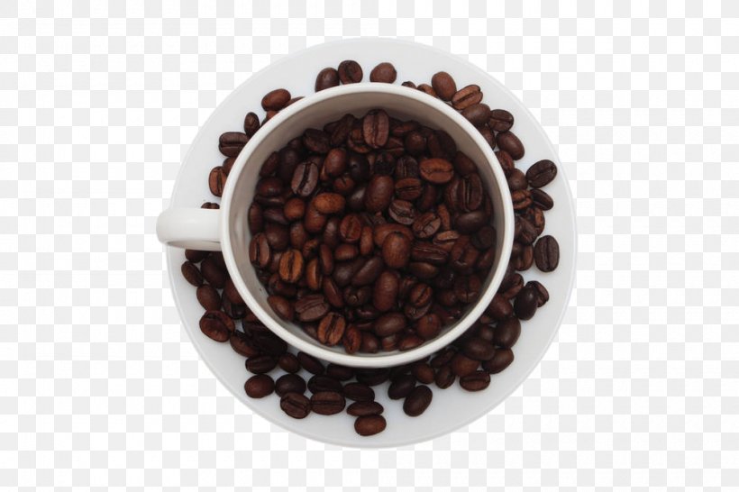 Arabica Coffee Cappuccino Coffee Bean, PNG, 1000x666px, Coffee, Arabica Coffee, Bean, Cappuccino, Coffea Download Free