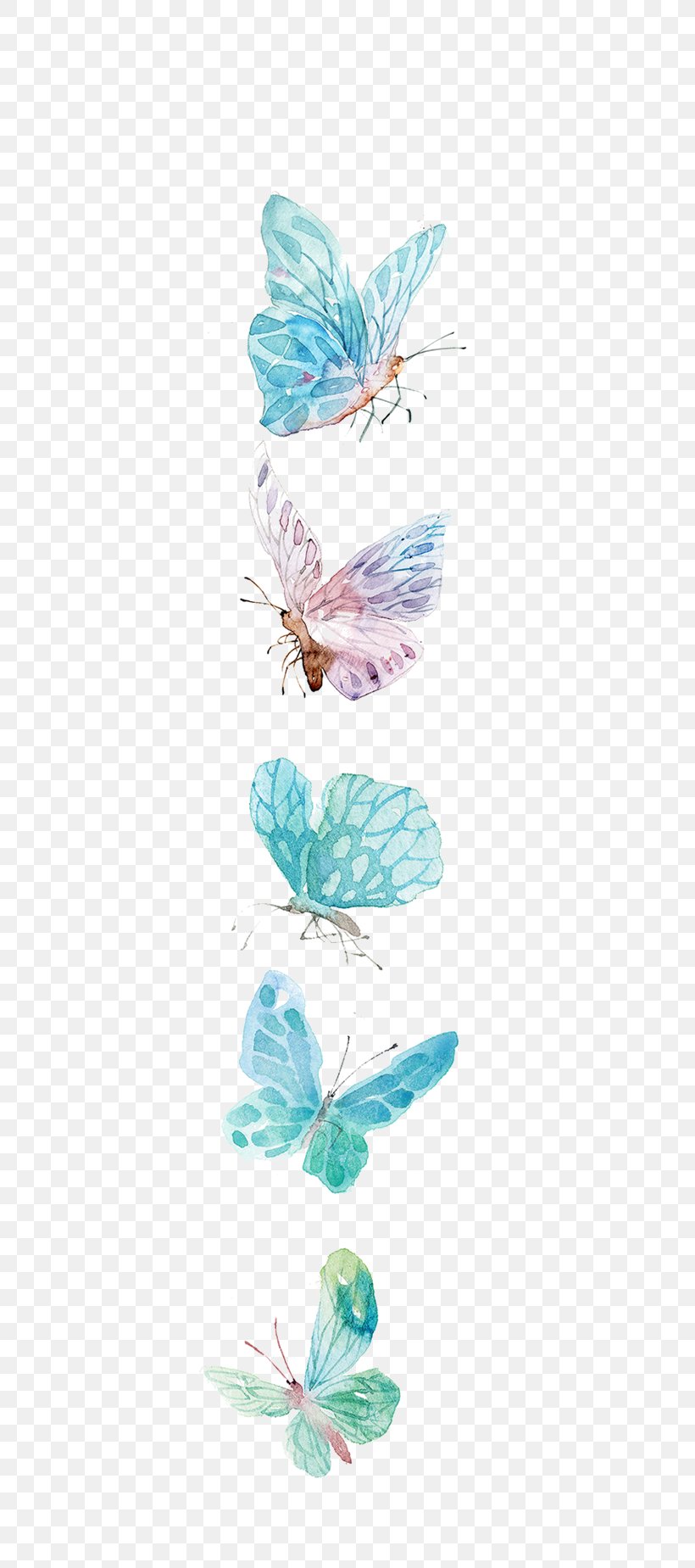 Butterfly Icon, PNG, 608x1849px, Paper, Aqua, Butterfly, Drawing, Graphic Designer Download Free