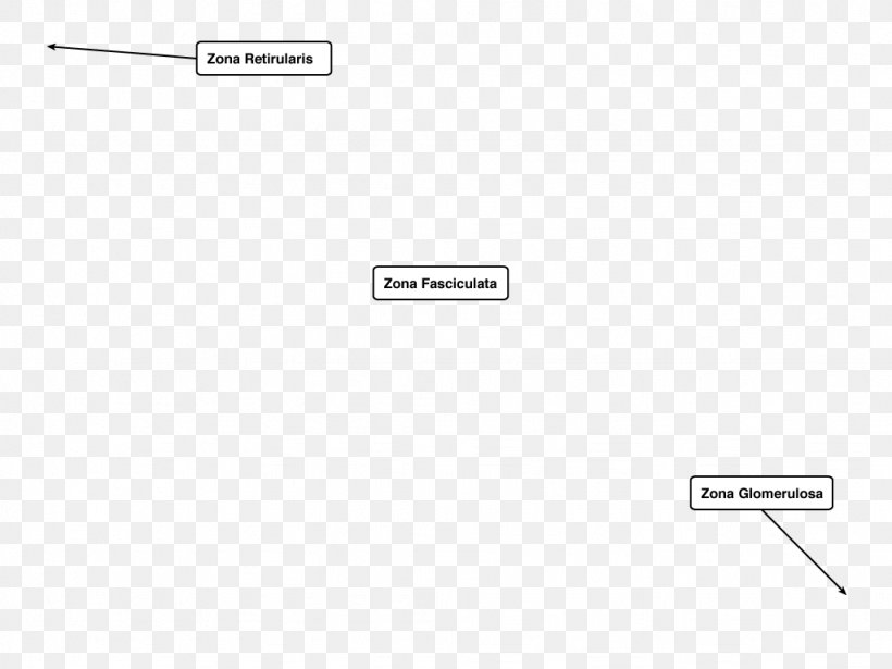 Document Line Angle, PNG, 1024x768px, Document, Area, Brand, Design M, Diagram Download Free