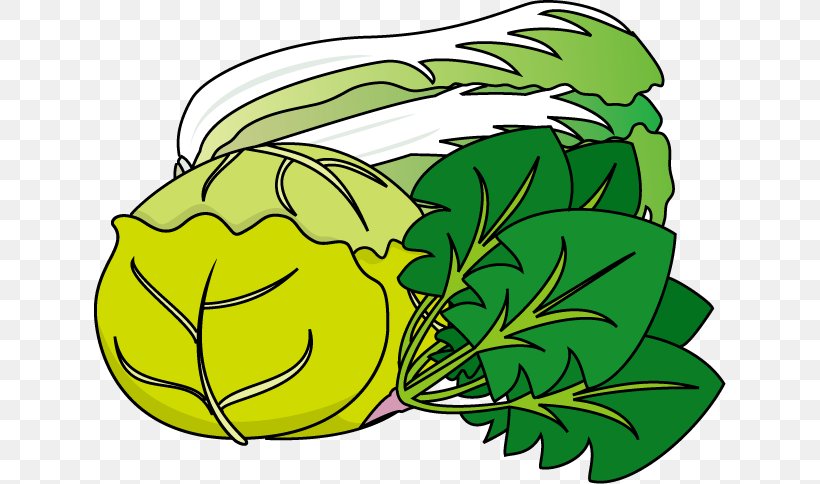 Illustration Clip Art Vegetable Cabbage Japan, PNG, 632x484px, Vegetable, Anniversary, Artwork, Ball, Bargli Sabzavotlar Download Free
