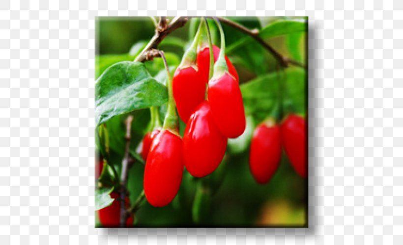 Juice Matrimony Vine Goji Berry Fruit, PNG, 500x500px, Juice, Acerola, Acerola Family, Bell Peppers And Chili Peppers, Berry Download Free