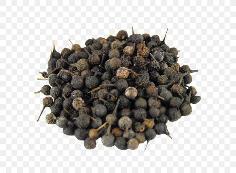 Cubeb Gin Black Pepper Coriander Spice, PNG, 600x600px, Cubeb, Black Pepper, Bors, Coriander, Fennel Flower Download Free