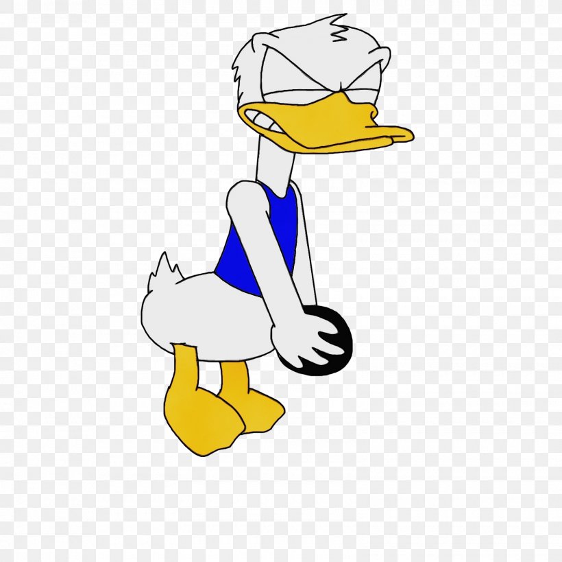 Duck Bird Cartoon Water Bird Ducks, Geese And Swans, PNG, 1600x1600px, Watercolor, Beak, Bird, Cartoon, Duck Download Free