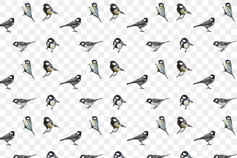 Feather, PNG, 1920x1280px, Duck, Barn Owl, Beak, Birds, Cartoon Download Free