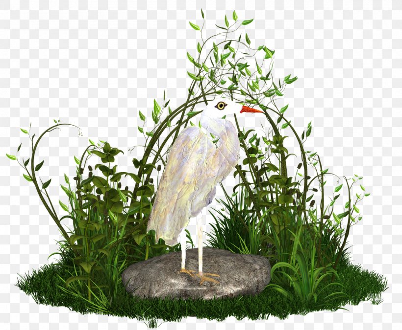 Green Grass Background, PNG, 1280x1055px, Grasses, Aquarium Decor, Aquatic Plant, Bird, Egret Download Free
