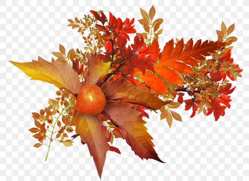 Leaf Autumn Fruit, PNG, 1280x933px, Leaf, Autumn, Drawing, Flower, Flower Bouquet Download Free