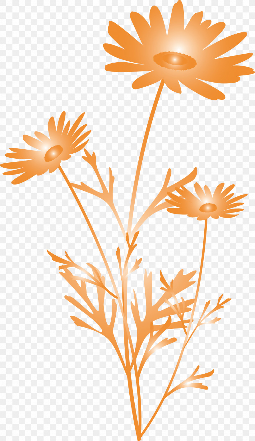 Marguerite Flower Spring Flower, PNG, 1737x2999px, Marguerite Flower, Chamomile, Cut Flowers, English Marigold, Flower Download Free