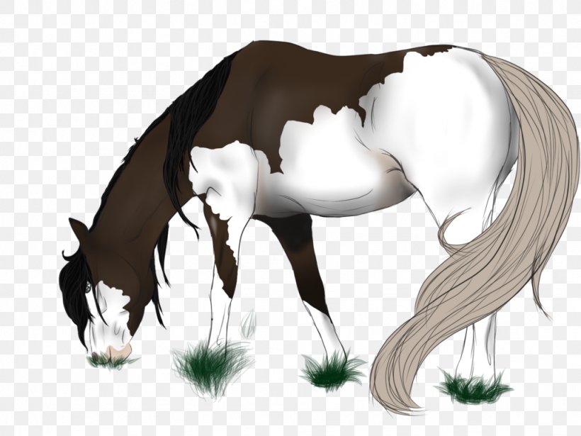 Mustang Stallion Foal Colt Halter, PNG, 1024x768px, Mustang, Cartoon, Colt, Fictional Character, Foal Download Free