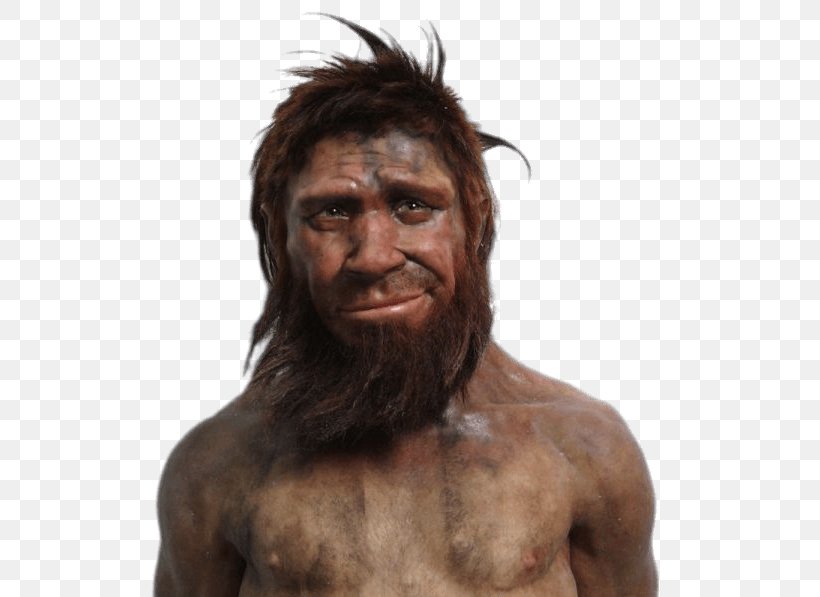 Neanderthal Caveman Human Evolution Homme De Spy, PNG, 600x597px ...