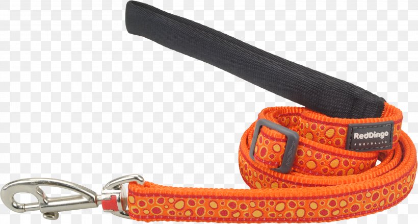 Leash Dog Collar Dingo Dog Collar, PNG, 3000x1609px, Leash, Belt, Bluecollar Worker, Chain, Collar Download Free