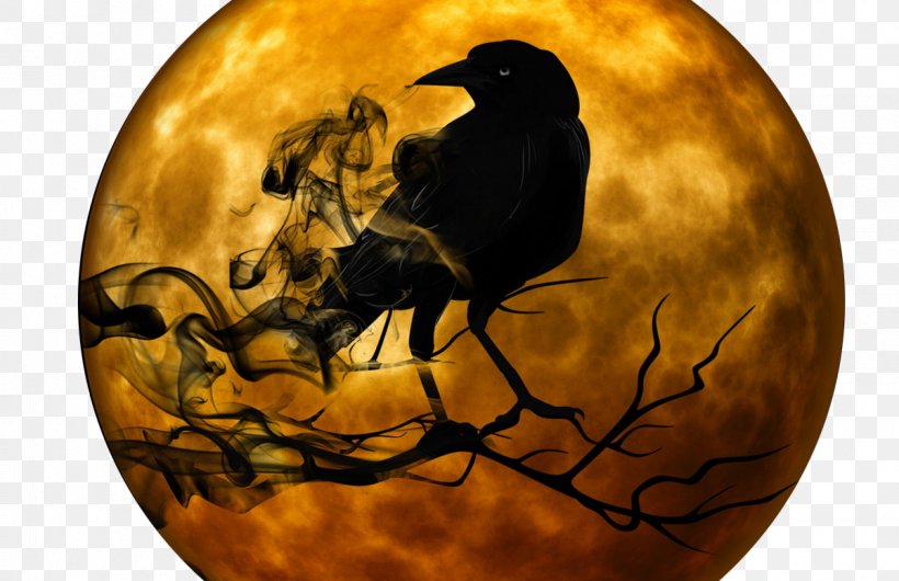 Narrative YouTube Halloween Ghost Story, PNG, 1200x776px, Narrative, Beak, Book, Creative Writing, Festival Download Free