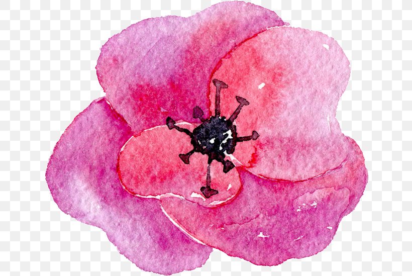 Petal Flower Watercolor Painting Image, PNG, 650x549px, Petal, Blue, Color, Flower, Flowering Plant Download Free