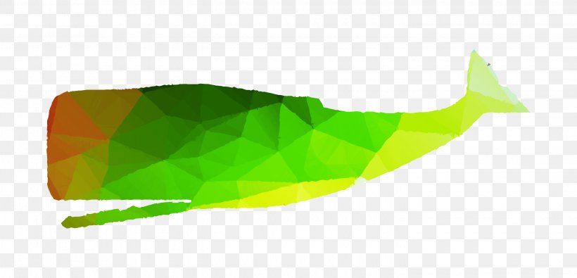 Product Design Graphics Leaf Line, PNG, 2900x1400px, Leaf, Flag, Green, Yellow Download Free