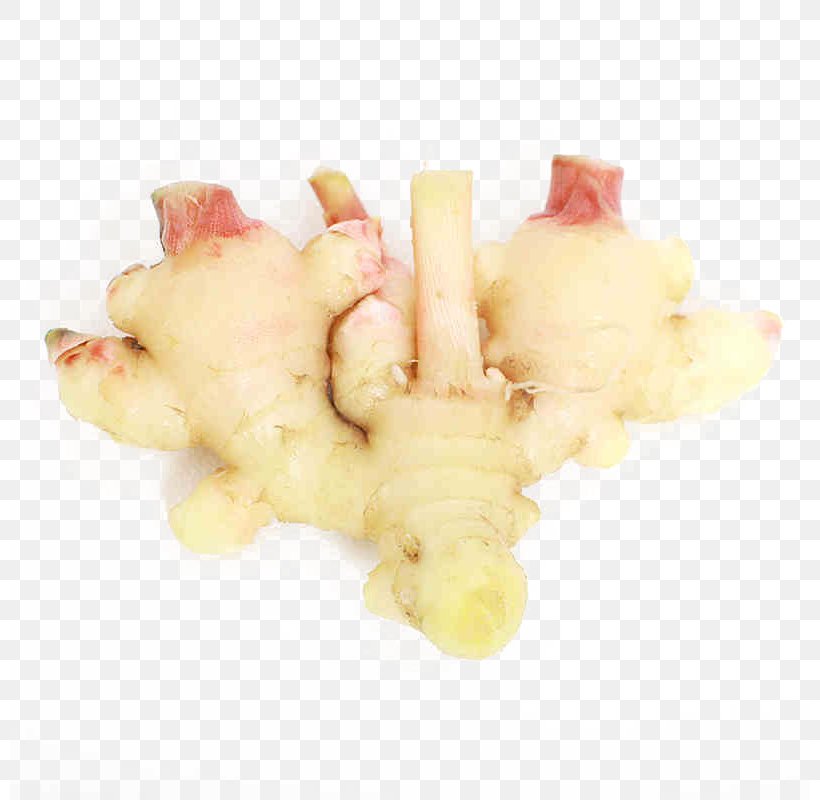 Root Vegetables Ginger Germination, PNG, 800x800px, Root Vegetables, Food, Germination, Ginger, Google Images Download Free