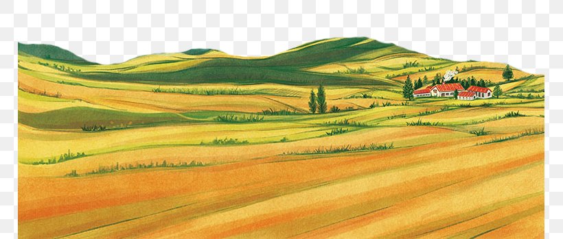 The Wheat Field Rural Area, PNG, 767x349px, Wheat Field, Agriculture, Artworks, Camping, Crop Download Free