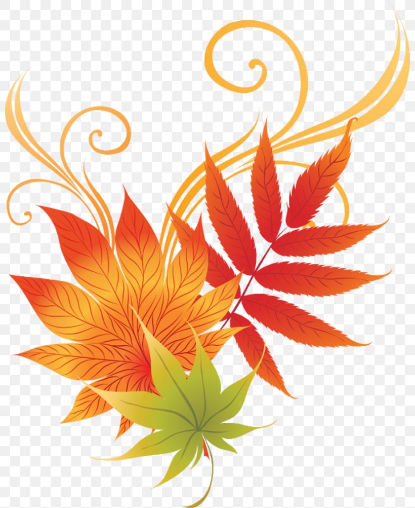 Leaf Autumn, PNG, 800x1002px, Leaf, Autumn, Color, Drawing, Element Download Free