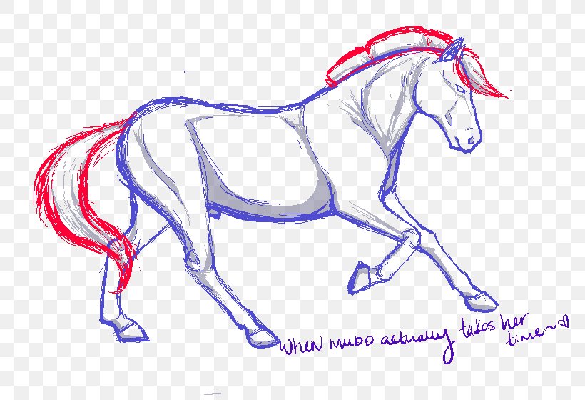 Mane Mustang Halter Colt Pack Animal, PNG, 815x560px, Watercolor, Cartoon, Flower, Frame, Heart Download Free