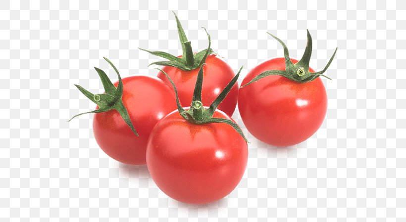 Plum Tomato Food Bush Tomato Vegetarian Cuisine, PNG, 559x449px, Plum Tomato, Bush Tomato, Diet, Diet Food, Food Download Free