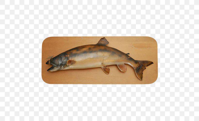 Salmon Fishing Trout, PNG, 500x500px, Salmon, Art, Bony Fish, Catfish, Decorative Arts Download Free