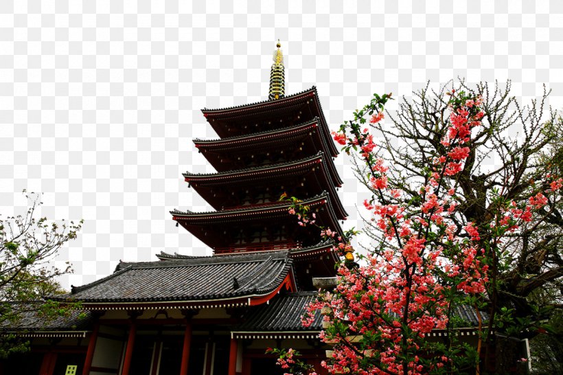 Sensu014d-ji Tourist Attraction, PNG, 1200x800px, Tourist Attraction, Asakusa, Chinese Architecture, Japan, Japanese Architecture Download Free