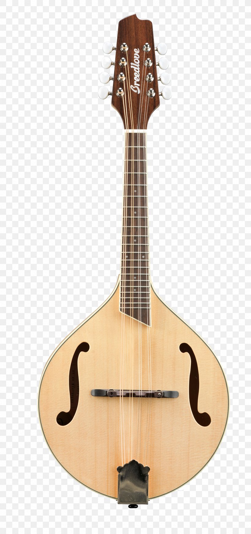 Ukulele Mandolin Breedlove Guitars Violin, PNG, 1000x2123px, Watercolor, Cartoon, Flower, Frame, Heart Download Free