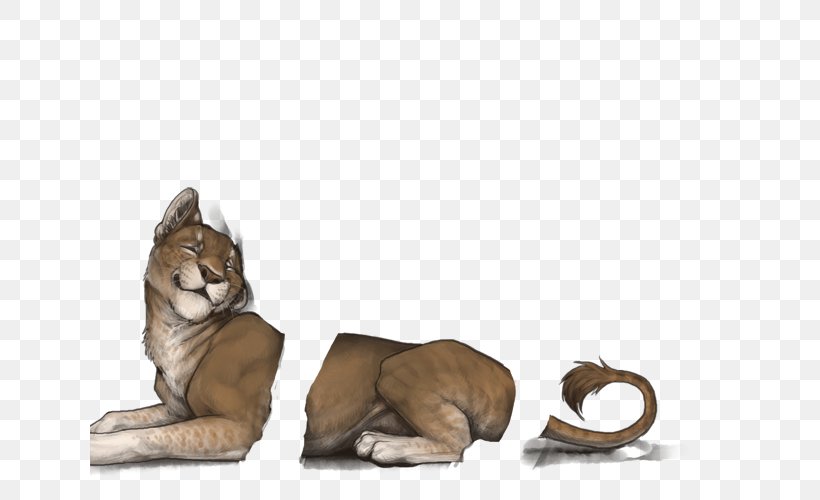 Big Cat Cougar Dog Fur, PNG, 640x500px, Cat, Big Cat, Big Cats, Canidae, Carnivoran Download Free