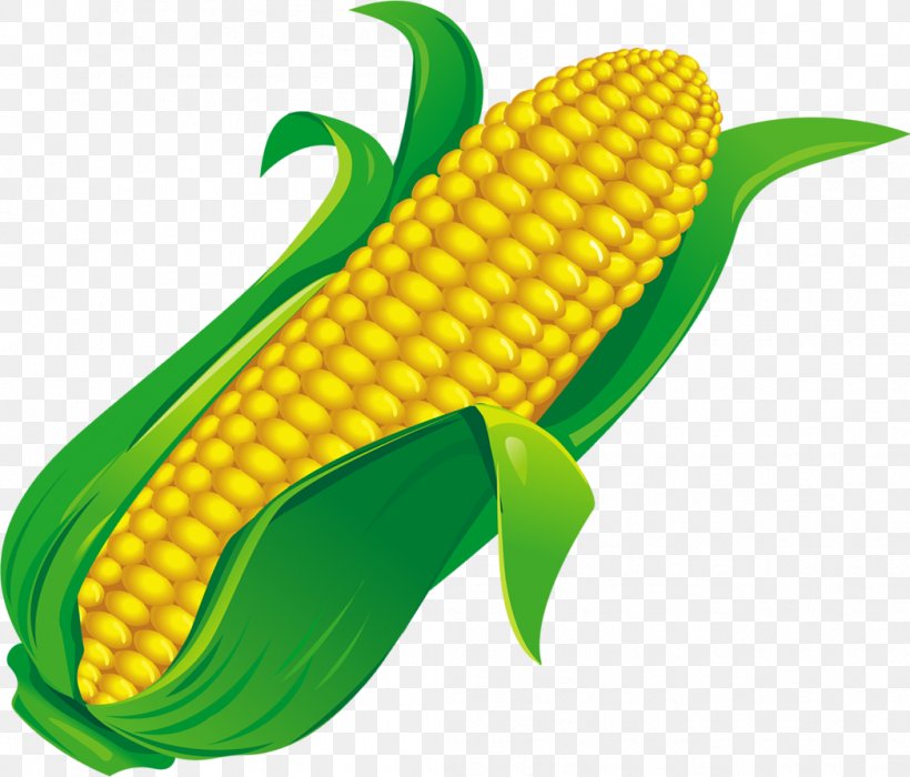 Corn On The Cob Maize Food Ingredient, PNG, 1047x895px, Corn On The Cob, Cereal, Commodity, Fish, Food Download Free