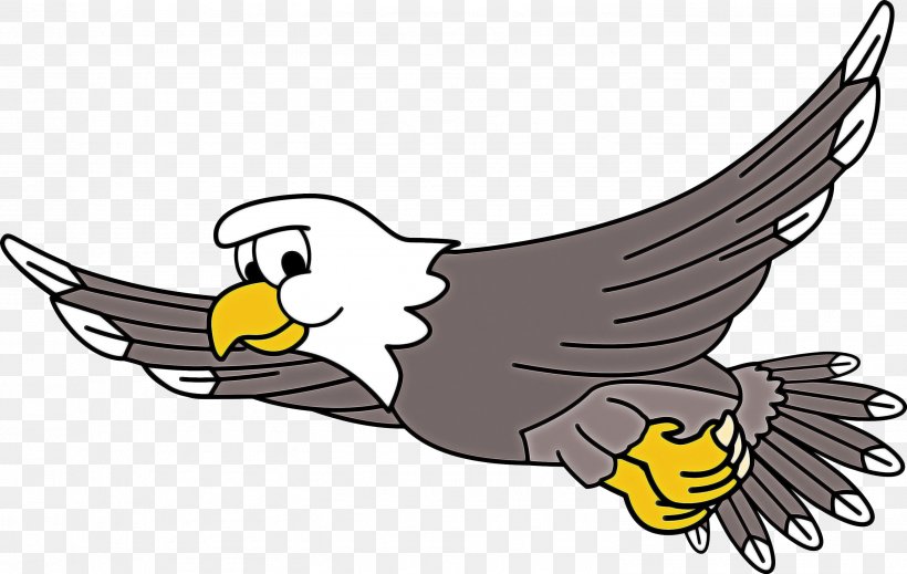 Eagle Logo, PNG, 3011x1907px, Bald Eagle, Accipitridae, Beak, Bird, Bird Of Prey Download Free