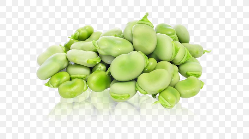 Lima Bean Broad Bean Vegetable Food, PNG, 768x459px, Lima Bean, Bean, Broad Bean, Commodity, Common Bean Download Free