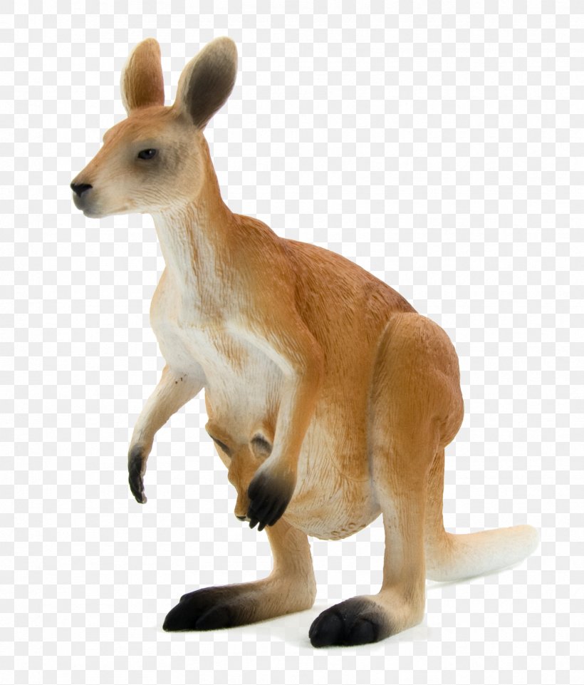 Red Kangaroo Macropodidae Eastern Grey Kangaroo Western Grey Kangaroo Antilopine Kangaroo, PNG, 1712x2007px, Red Kangaroo, Action Figure, Antilopine Kangaroo, Collectable, Deer Download Free