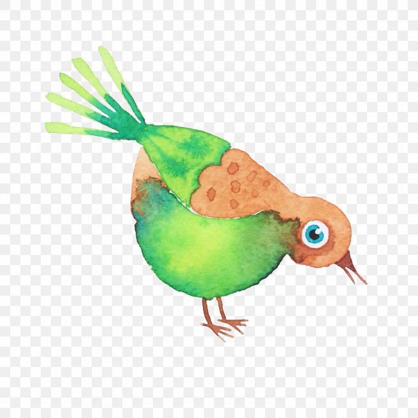 Bird Watercolor Painting Drawing, PNG, 3000x3000px, Bird, Animal, Animation, Beak, Cartoon Download Free