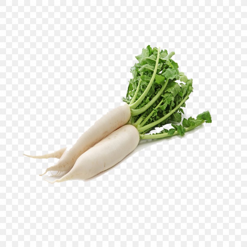 Daikon Leaf Vegetable Chinese Cabbage, PNG, 2048x2048px, Daikon, Beetroot, Cabbage, Chinese Cabbage, Food Download Free