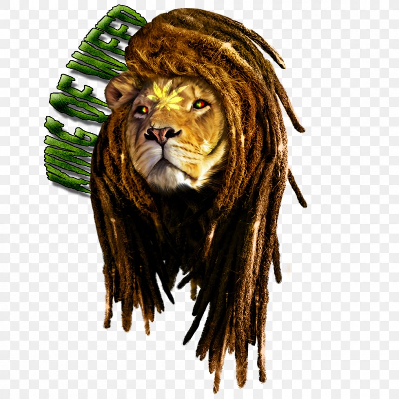 Lion T-shirt Braid Rastafari Reggae, PNG, 1000x1000px, Lion, Big Cats, Braid, Carnivoran, Cat Like Mammal Download Free