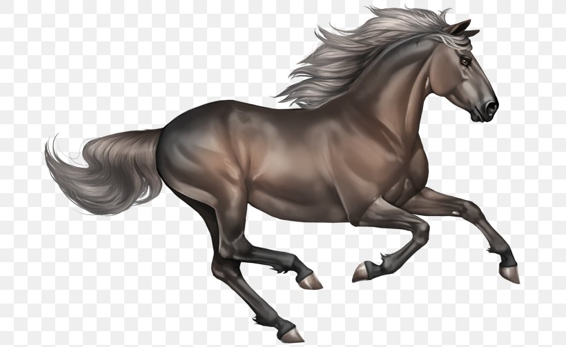 Mestengo: A Wild Mustang, A Writer On The Run, And The Power Of The Unexpected Clip Art, PNG, 700x503px, Mustang, Animal Figure, Bridle, Canter And Gallop, Display Resolution Download Free