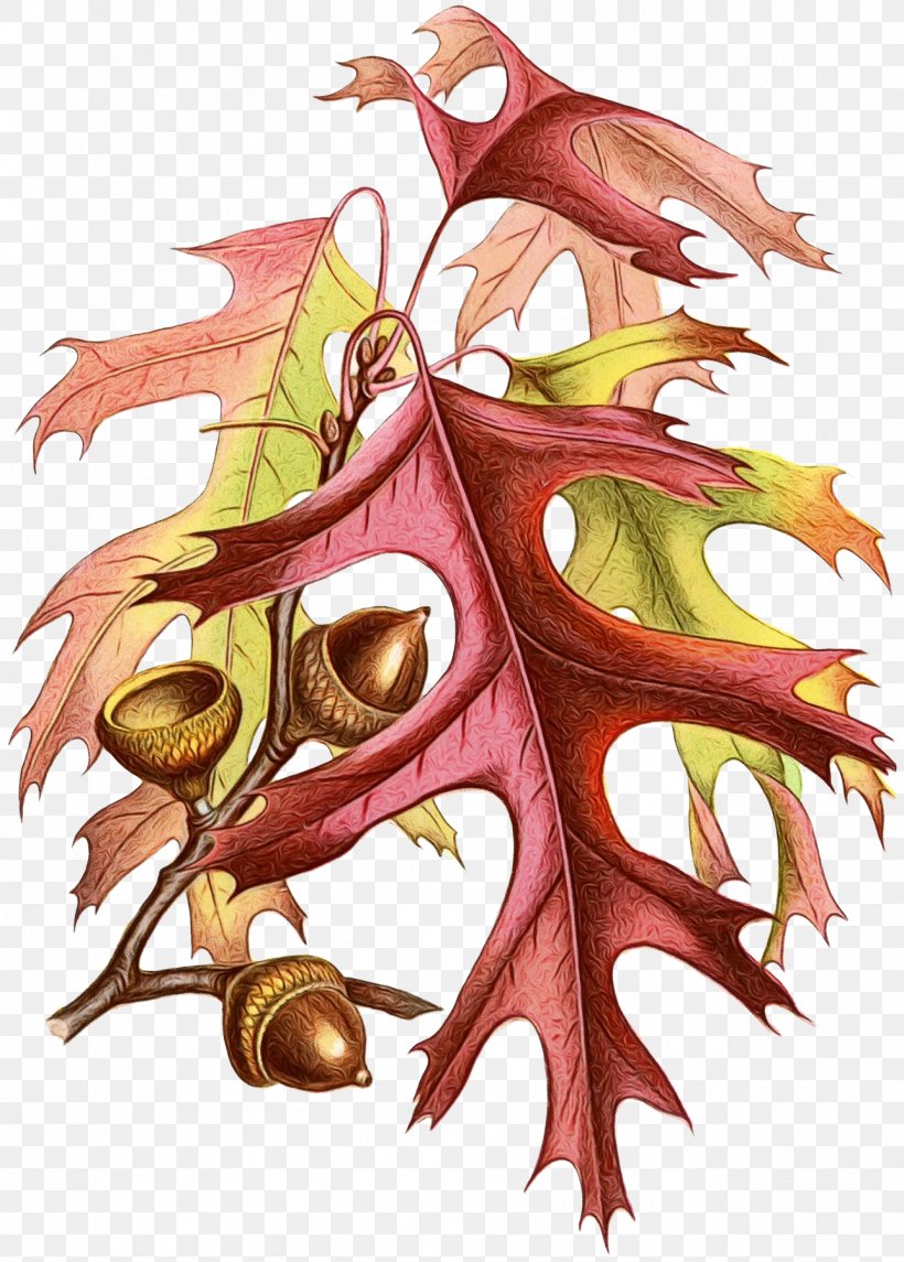 Oak Tree Drawing, PNG, 1289x1800px, Autumn, Autumn Leaf Color, Drawing, Fairy, Leaf Download Free