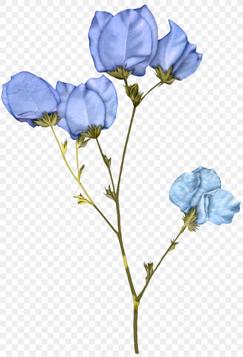 Bouquet Of Flowers, PNG, 873x1280px, Flower, Balloon Flower, Bellflower, Bellflower Family, Blue Download Free