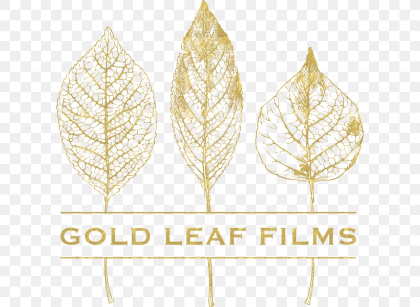 Gold Leaf, PNG, 600x600px, Leaf, Commodity, Film, Foil, Gold Download Free
