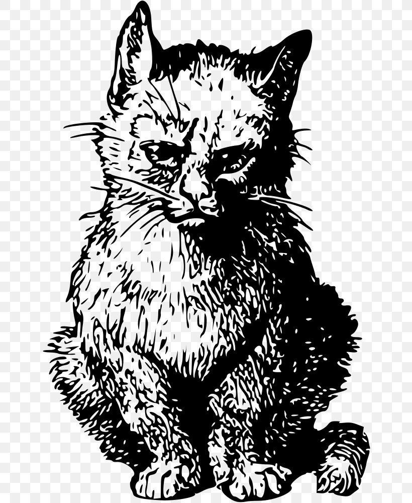 Whiskers Kitten Tabby Cat Domestic Short-haired Cat Clip Art, PNG, 655x1000px, Whiskers, Art, Black, Black And White, Carnivoran Download Free