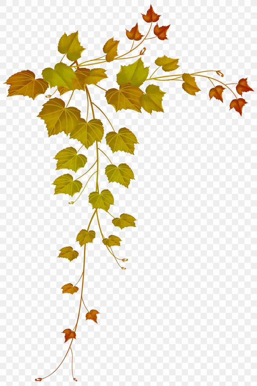 Autumn Leaf Color Autumn Leaf Color Clip Art, PNG, 4152x6251px, Leaf, Autumn, Autumn Leaf Color, Branch, Decorative Arts Download Free