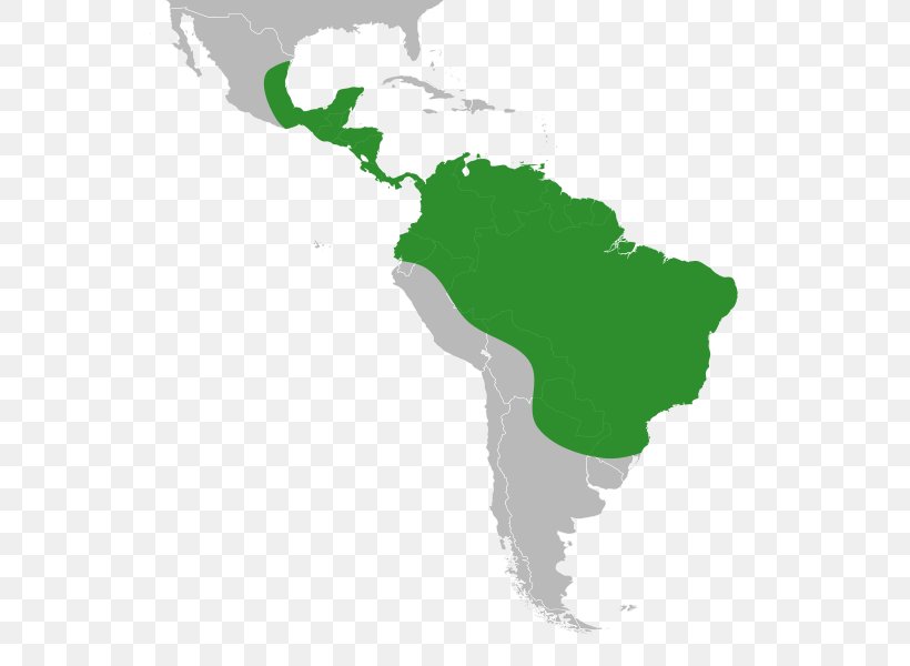 Caribbean South America United States Of America Isthmus Of Panama Map, PNG, 555x600px, Caribbean, Americas, Caribbean Sea, Caribbean South America, Geography Download Free