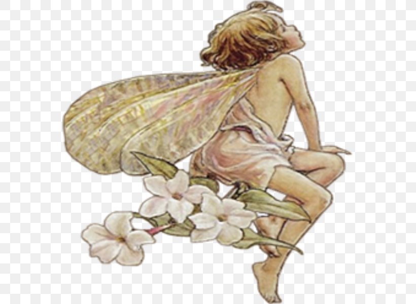 Fairy Public Domain Flower Fairies Clip Art, PNG, 573x600px, Fairy, Alphabet, Angel, Art, Costume Design Download Free